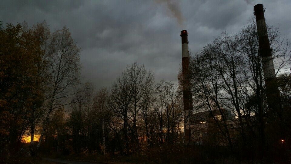 фотография Реликт