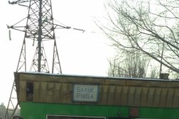 Магазин морепродуктов Рыба, с рейтингом 4 - находится по адресу Алматы, Березовского, 15 