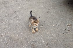Салон автомобилей с пробегом АвтоГарант, с рейтингом 4 - находится по адресу Пенза, Ново-Тамбовская улица, 22а к1 