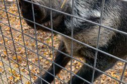 Экологически-просветительский комплекс Лосиная биостанция, с рейтингом 3.9 - находится по адресу Московская область, Мытищи, Кропоткинский проезд, ст1 