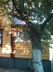 Благоустройство территории Дмитрий Александрович Рябков