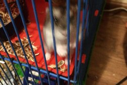Ателье на улице Фрунзе, с рейтингом 4 - находится по адресу Смоленск, улица Фрунзе, 66 