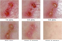 Производственная компания Фармпрепарат, с рейтингом 2 - находится по адресу Ростовская область, Азов, улица Калинина, 2 