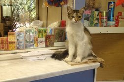 Отделение Почта России №140005, с рейтингом 3.7 - находится по адресу Московская область, Люберцы, улица Кирова, 61/7 