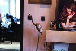 Студия красоты Елены Альбоща, с рейтингом 4 - находится по адресу Кемеровская область — Кузбасс, Кемерово, Весенняя, 16 
