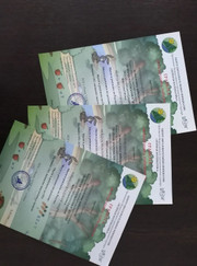 Психолог, педагог для подготовки к школе Елена Геннадьевна Черкиза