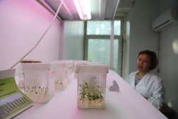 Казахский НИИ защиты и карантина растений, с рейтингом 4 - находится по адресу Алматы, Култобе, 1 