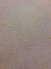 Мастер на час, маляр-штукатур Диана Сергеевна Светашова