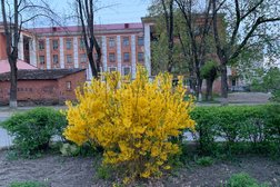 Детская школа искусств на улице Олега Кошевого, 8 к 1, с рейтингом 4.5 - находится по адресу Псков, улица Олега Кошевого, 8 к1 