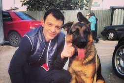 Автосалон Persia Motors, с рейтингом 3.3 - находится по адресу Алматы, Суюнбая проспект, 143а 