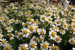 Визовый центр Глобус, с рейтингом 3.4 - находится по адресу Республика Башкортостан, Уфа, Коммунистическая улица, 45/3 