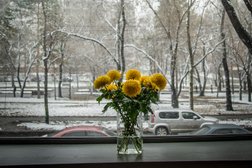 Кафе Террасса, с рейтингом 4 - находится по адресу Хабаровск, улица Дзержинского, 39/1 