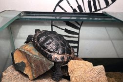 Галерея современного искусства Okno, с рейтингом 4.5 - находится по адресу Челябинск, улица Сони Кривой, 79а 