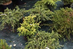 Садовый центр Юнамакс, с рейтингом 4.1 - находится по адресу Ростовская область, Батайск, 15-я улица, 365а 