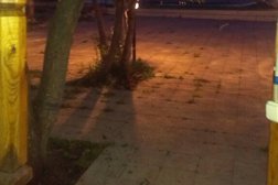 База отдыха Ягодное, с рейтингом 4 - находится по адресу Самарская область, посёлок Новоягодное, 1 