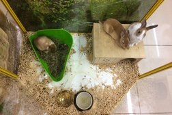 Зоомагазин Бетховен, с рейтингом 4.1 - находится по адресу Москва, улица Плющиха, 22 