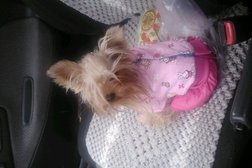 Зоомагазин Котопёфф, с рейтингом 2.7 - находится по адресу Алматы, Гагарина проспект, 145 