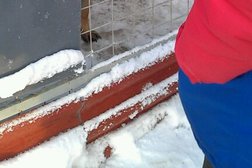 Дрессировочный центр ZooИмперия, с рейтингом 2.8 - находится по адресу Ярославская область, д. Бегоулево, Московское шоссе 9 километр, ст1 