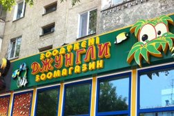 Магазин зоотоваров и аквариумов Джунгли, с рейтингом 4 - находится по адресу Алматы, Орбита 2-й микрорайон, 29 