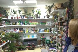 Садовый центр Зелёная планета, с рейтингом 4.3 - находится по адресу Ставропольский край, Буденновск, улица Кочубея, 184 