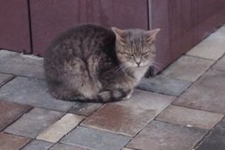 Торговый центр Князь Владимир, с рейтингом 3 - находится по адресу Белгород, Спортивная улица, 2в 