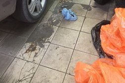 Автоцентр Ivanor, с рейтингом 4.8 - находится по адресу Санкт-Петербург, Витебский проспект, 11а 