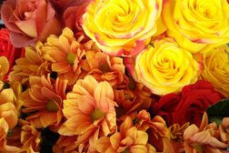 Салон цветов и подарков ДомРоз, с рейтингом 4.3 - находится по адресу Иваново, Палехская улица, 4 