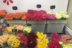 Цветочный магазин Семь Цветов, с рейтингом 4 - находится по адресу Ямало-Ненецкий автономный округ, Ноябрьск, Изыскателей улица, 39 