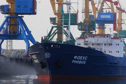 Голубая волна, с рейтингом 3.5 - находится по адресу Ростовская область, Азов, улица Васильева, 1в 