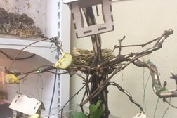 Antplanet