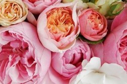 Государственный архив Карагандинской области, с рейтингом 1.7 - находится по адресу Караганда, Ержанова, 6 