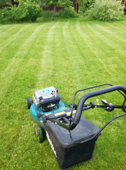 Благоустройство территории Александр Евгеньевич Давыденков