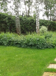 Благоустройство территории, инструктор по йоге Марина Евгеньевна Шушковская