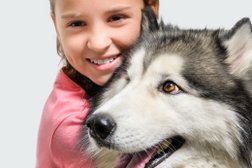 Ветеринарная клиника Пульс, с рейтингом 2.2 - находится по адресу Волгоград, улица КИМ, 7а 