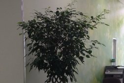 СберБанк, с рейтингом 4.5 - находится по адресу Иркутск, улица Лермонтова, 267/4 