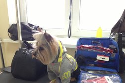 Салон для животных Groom, с рейтингом 3 - находится по адресу Екатеринбург, Союзная улица, 2 