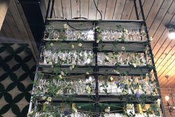 Ресторан & бар Garden Room, с рейтингом 4.2 - находится по адресу Усть-Каменогорск, 30 Гвардейской Дивизии, 20/1 