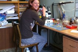 Карельский центр им. Н. Рериха, с рейтингом 2 - находится по адресу Республика Карелия, Петрозаводск, Пушкинская улица, 5 