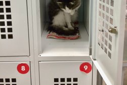 Супермаркет Пятёрочка, с рейтингом 4.2 - находится по адресу Республика Башкортостан, Уфа, Интернациональная, 15 