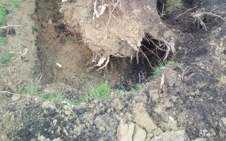 фотография работы фрилансера Николая Сергеевича Воронова