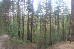 База отдыха Старт, с рейтингом 2.8 - находится по адресу Рязань, территория Санаторий, 23 