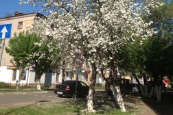 Борский городской суд, с рейтингом 2.1 - находится по адресу Нижегородская область, Бор, Профсоюзная улица, 3 