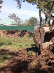 Благоустройство территории, ландшафтный дизайнер Андрей Михайлович Б.