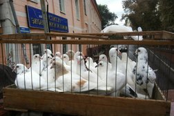 ТСЖ Каменный мост, с рейтингом 3.5 - находится по адресу Воронеж, улица Орджоникидзе, 18 