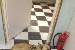 Ветеринарный лечебно-диагностический центр, с рейтингом 2.2 - находится по адресу Московская область, Раменское, улица Воровского, 7а 