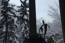 Санаторий Русь, с рейтингом 4 - находится по адресу Ставропольский край, Железноводск, улица Калинина, 22 