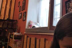 Котокафе Murchim, с рейтингом 4.6 - находится по адресу Новосибирск, Коммунистическая улица, 45 
