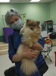 Грумер Наталья Леонидовна Ложечникова