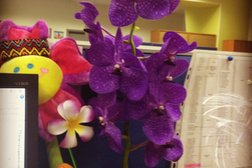 Турагентство Sunmar, с рейтингом 2 - находится по адресу Москва, Нижняя Красносельская улица, 40/12 к3 