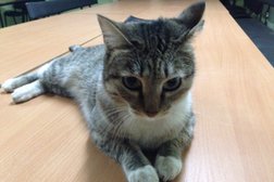 Компания активного отдыха Альтамира, с рейтингом 4 - находится по адресу Красноярск, Кольцевая улица, 1 